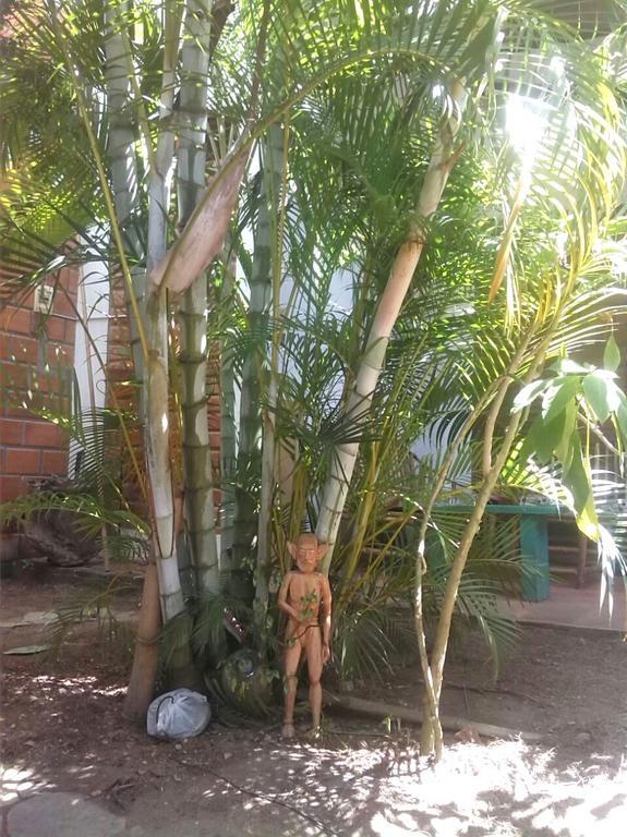 Bambu Tarapoto Hostel Kültér fotó